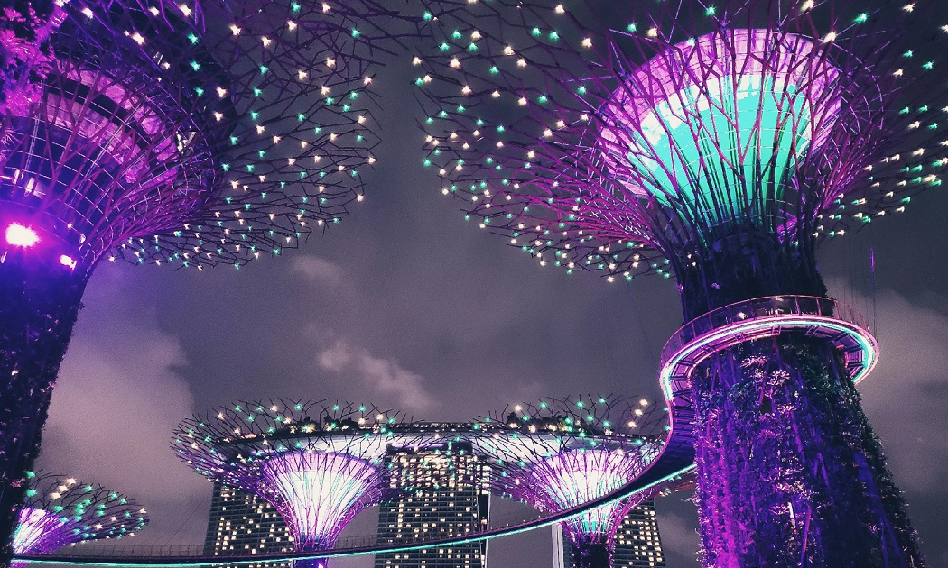 シンガポールで働く日本人料理人向けガイド:求人動向から生活情報まで